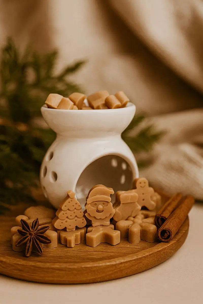 Fondants parfumés artisanaux — Cannelle Dorée IGLOO